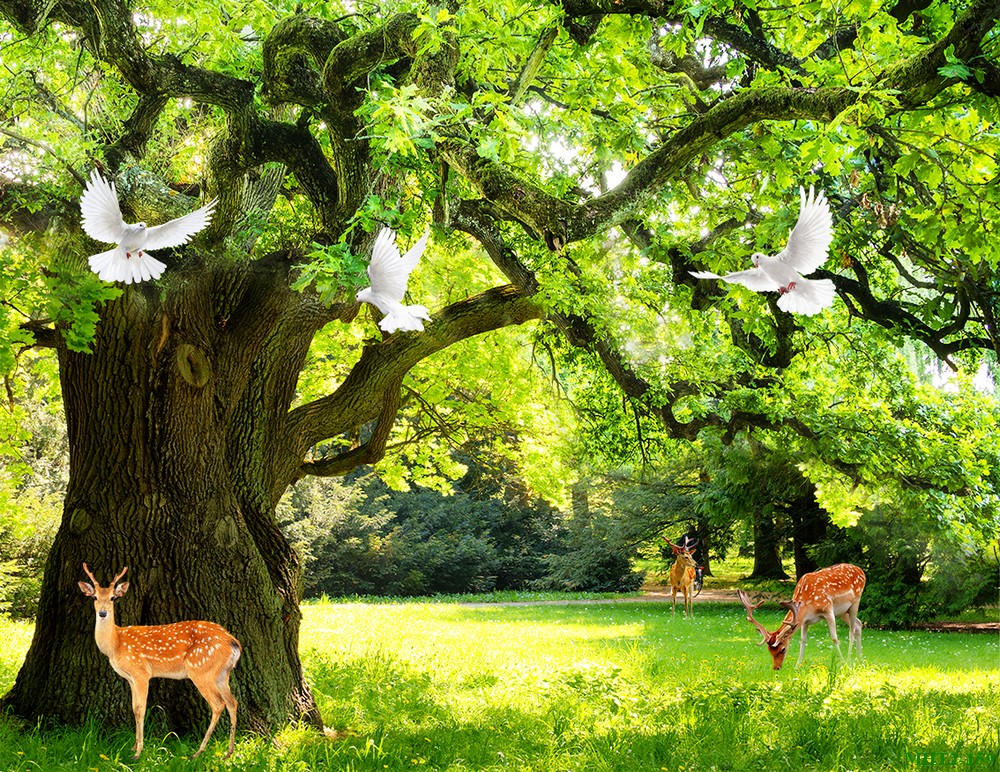 Phong cảnh sơn thủy hữu tình MHT2-159